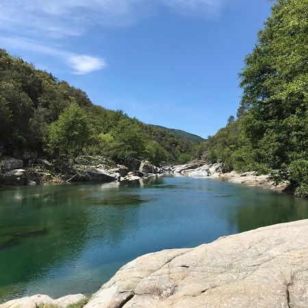 Chambre D'Hote Lavande - Le Soleil Des Cevennes Saint-Jean-du-Gard Zewnętrze zdjęcie
