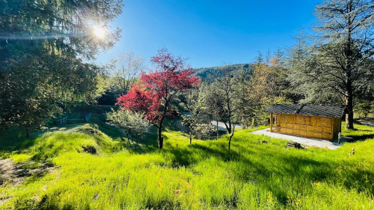 Chambre D'Hote Lavande - Le Soleil Des Cevennes Saint-Jean-du-Gard Zewnętrze zdjęcie
