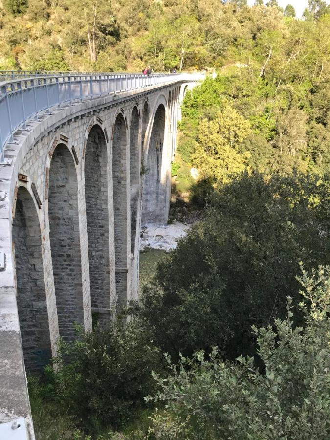 Chambre D'Hote Lavande - Le Soleil Des Cevennes Saint-Jean-du-Gard Zewnętrze zdjęcie