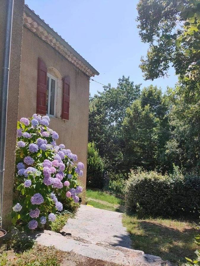 Chambre D'Hote Lavande - Le Soleil Des Cevennes Saint-Jean-du-Gard Zewnętrze zdjęcie
