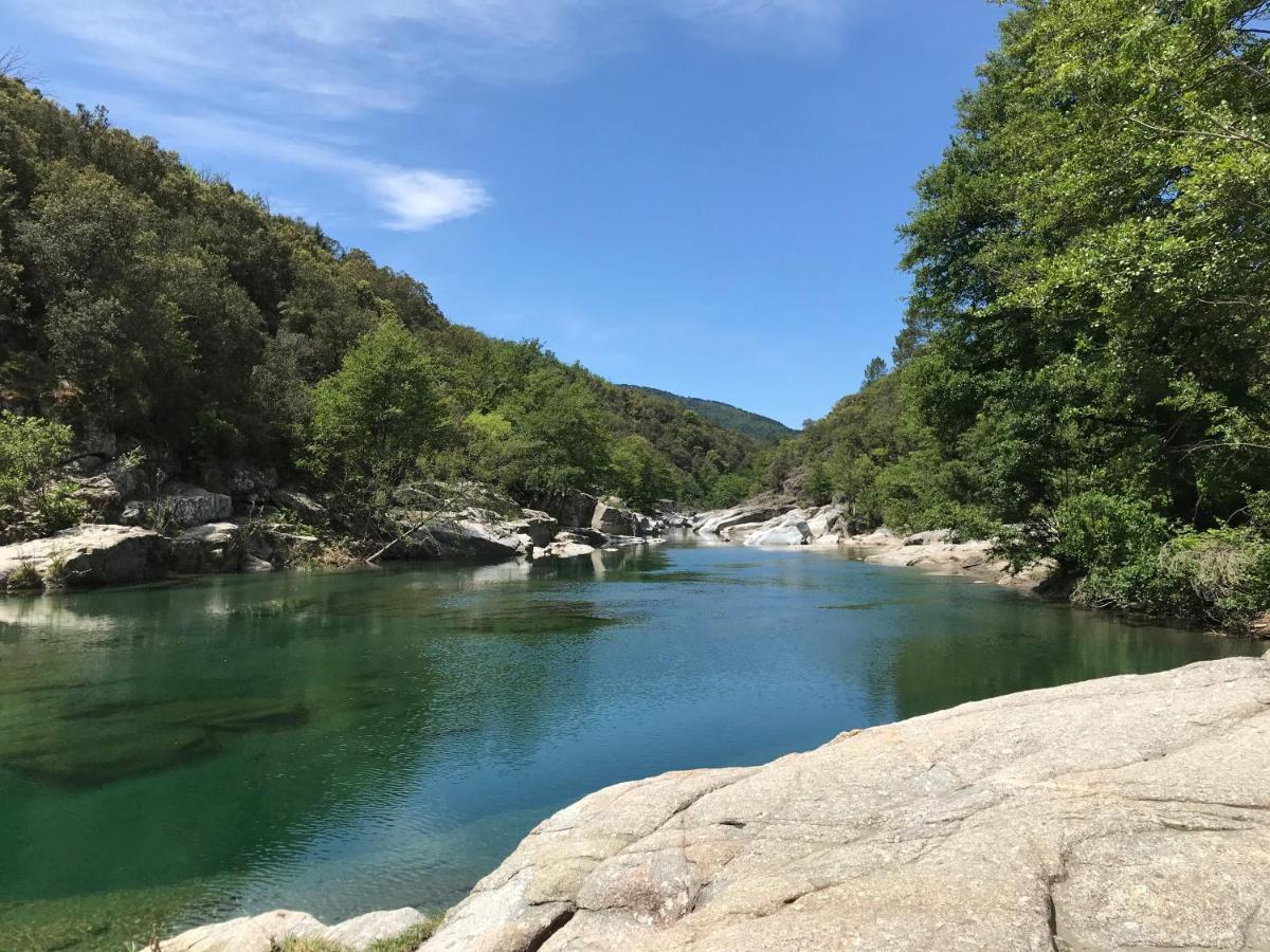 Chambre D'Hote Lavande - Le Soleil Des Cevennes Saint-Jean-du-Gard Zewnętrze zdjęcie