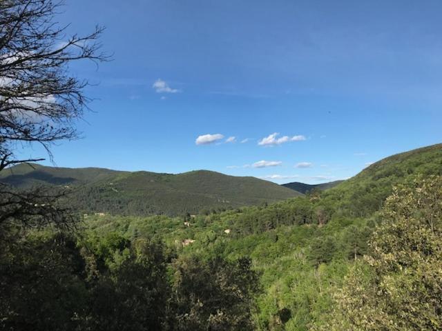 Chambre D'Hote Lavande - Le Soleil Des Cevennes Saint-Jean-du-Gard Zewnętrze zdjęcie
