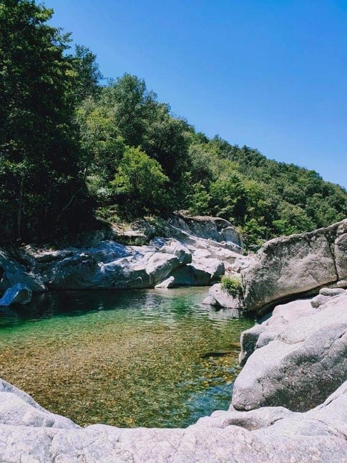 Chambre D'Hote Lavande - Le Soleil Des Cevennes Saint-Jean-du-Gard Zewnętrze zdjęcie